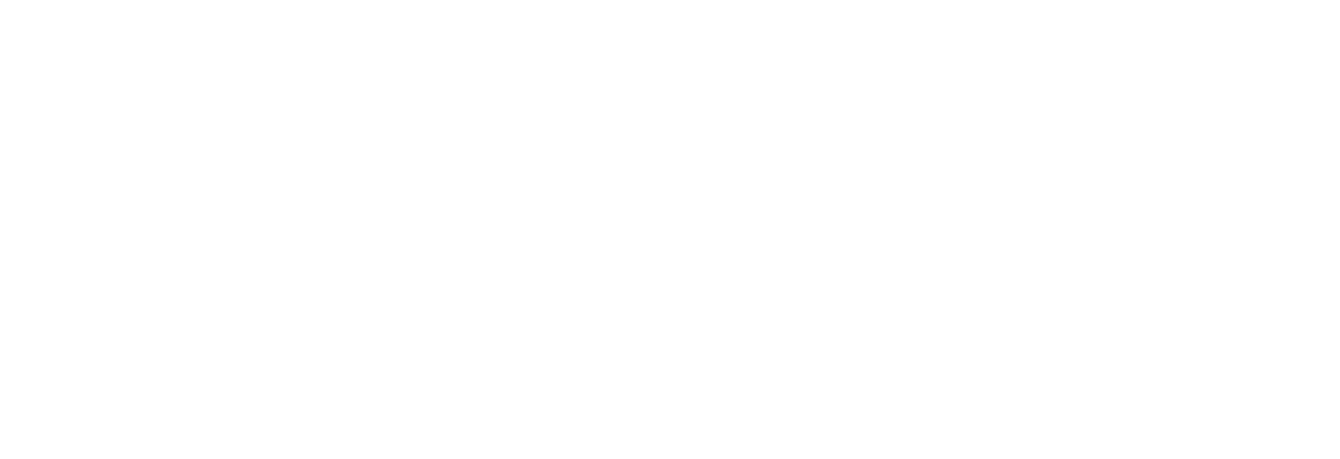 Stealthium Logo